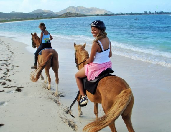 Horseback Ride 'N' Swim in Ocho Rios