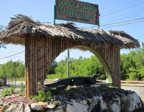Jamaica Swamp Safari Village Tours
