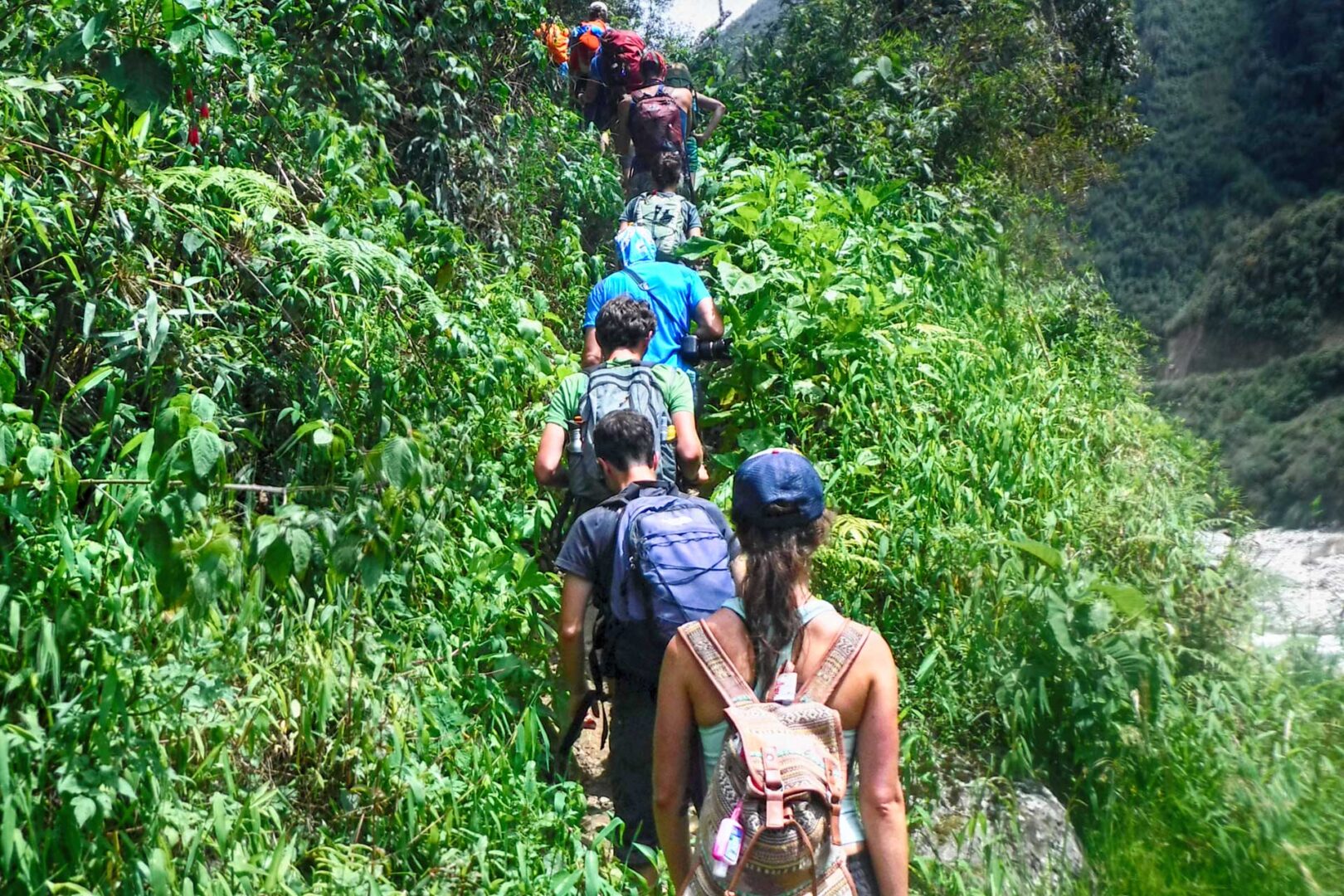 Rainforest Trek